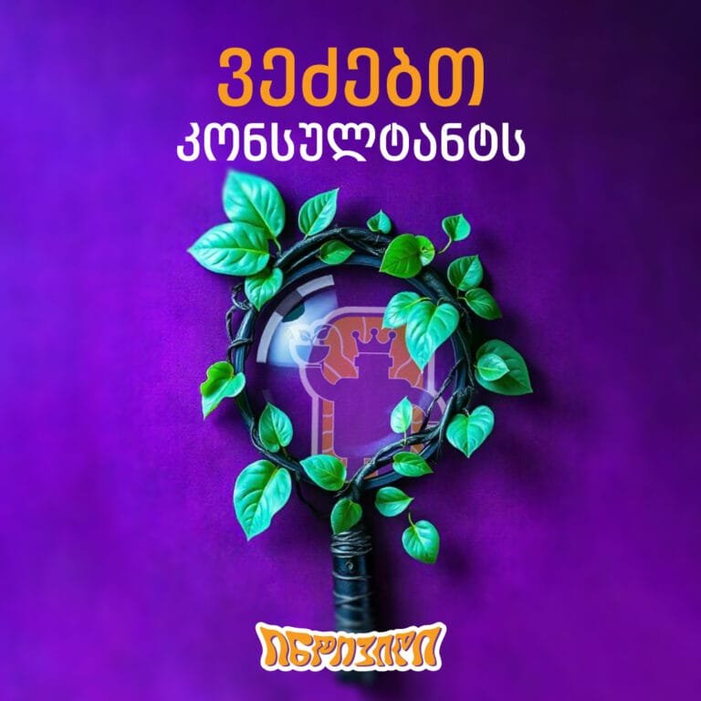 კონსულტანტი-2