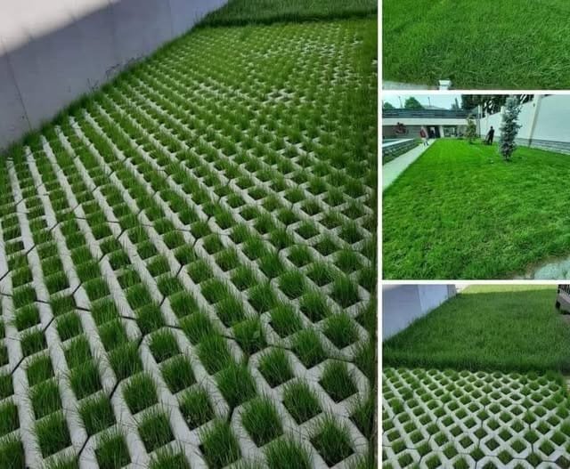 467718557_1585986628711161_3610234976013338939_n