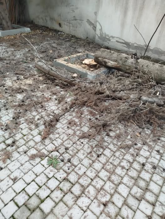 469602427_902170975450380_296416386955381075_n