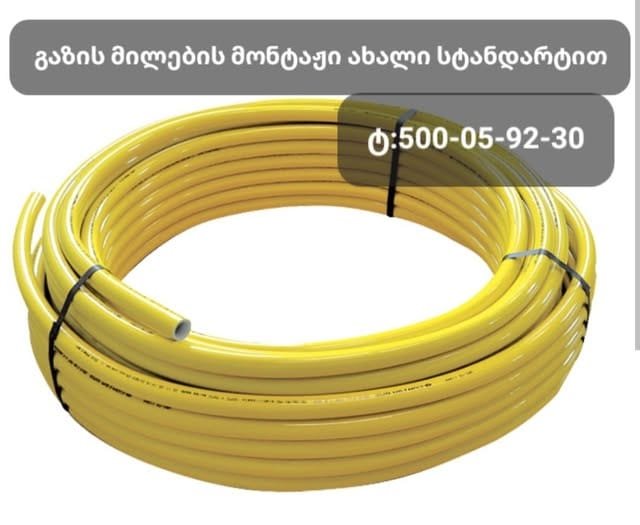 471513256_1277627360142865_4189381872504889417_n