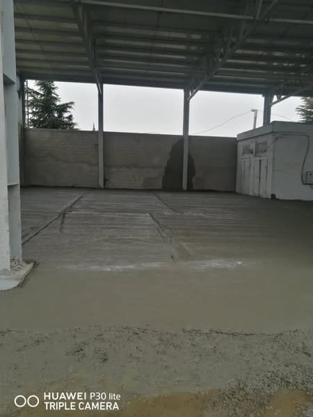 475648932_122104783118743552_8133971061216652998_n