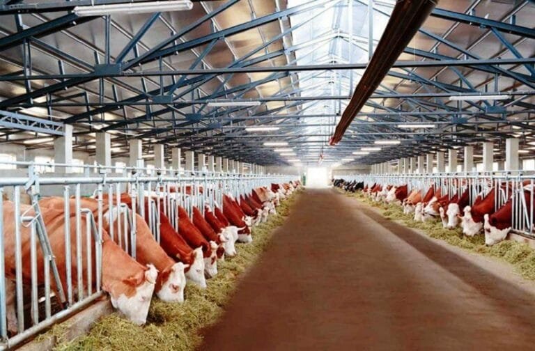 471155784_2340275526335780_638077221478663965_n