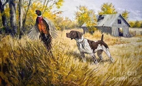 465267687_122172865172126410_7460267215434550496_n